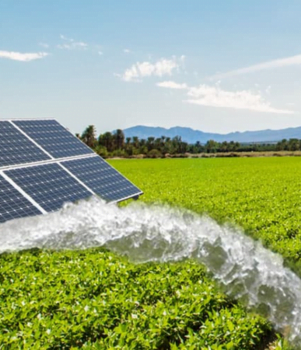 Agribusiness Solar Panel 10 kW