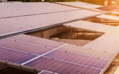 Harnessing Solar Power: The Rise of Solar Panels in Mumbai