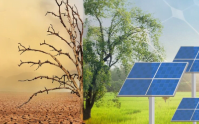 Impact of Solar farm loans on Global warming