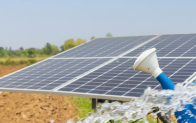 Solar Panel Power System for Off Grid Agriculture Irrigation: Things You Need to Know