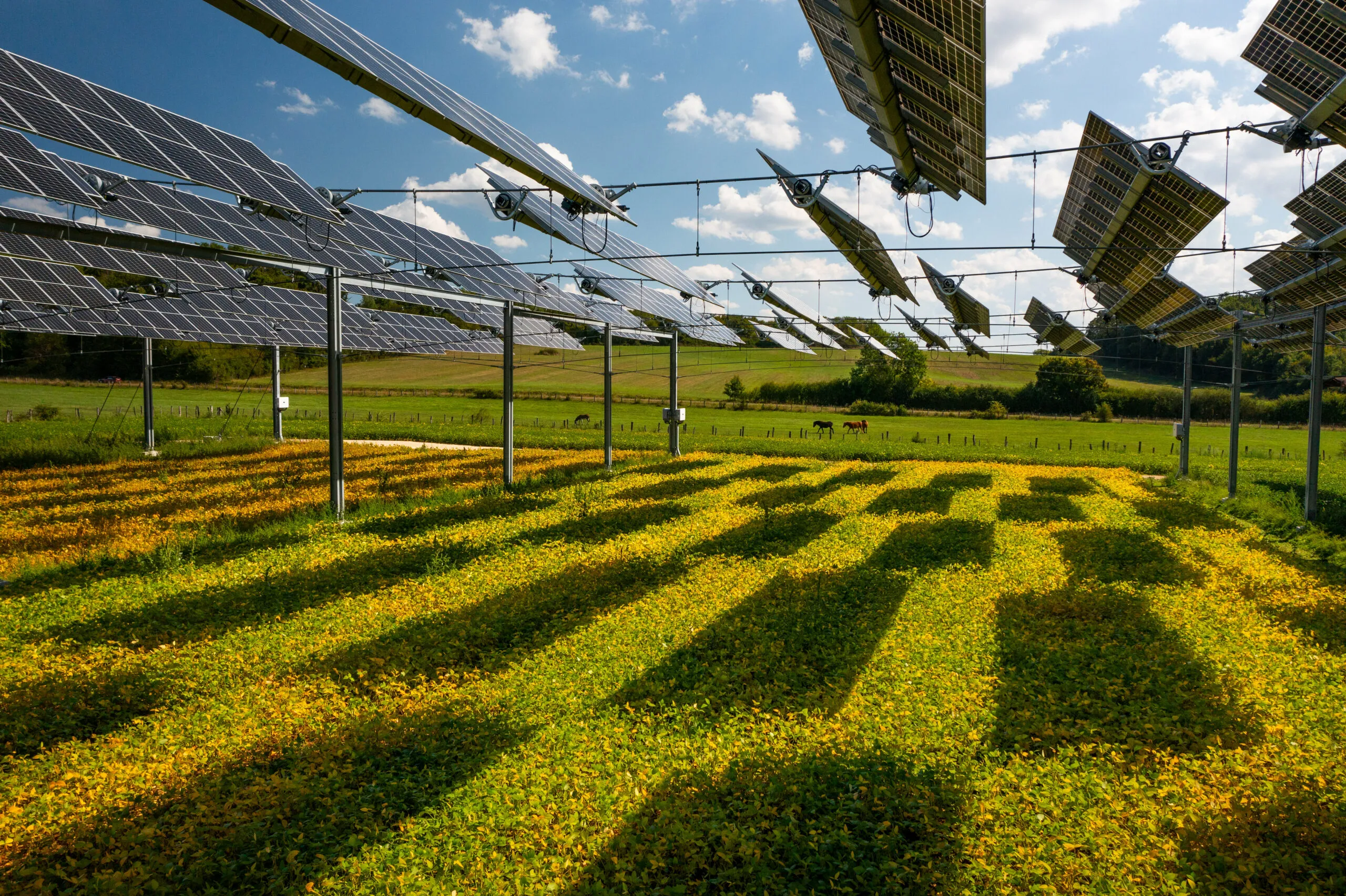 What is an Agrivoltaics? What is an Agrivoltaics?