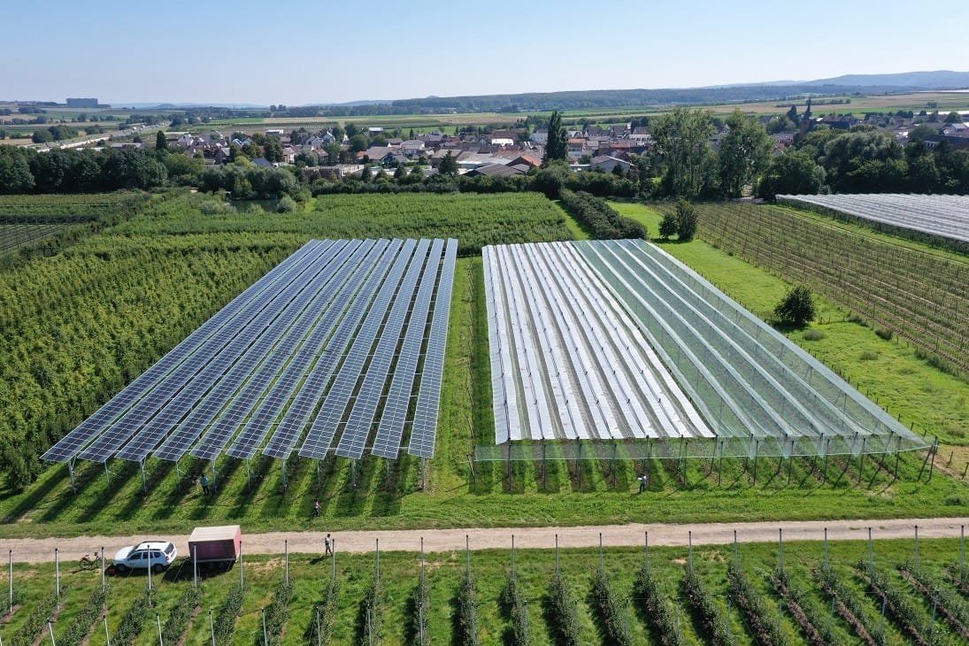 Agrivoltaics Farming in India Agrivoltaics Farming in India