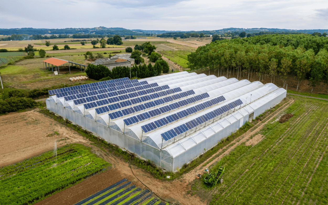 Agrivoltaics Greenhouse Agrivoltaics Greenhouse