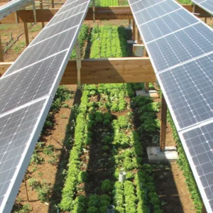 Agrivoltaics Solar Panels