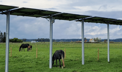 Agrivoltaics with Horses Agrivoltaics with Horses