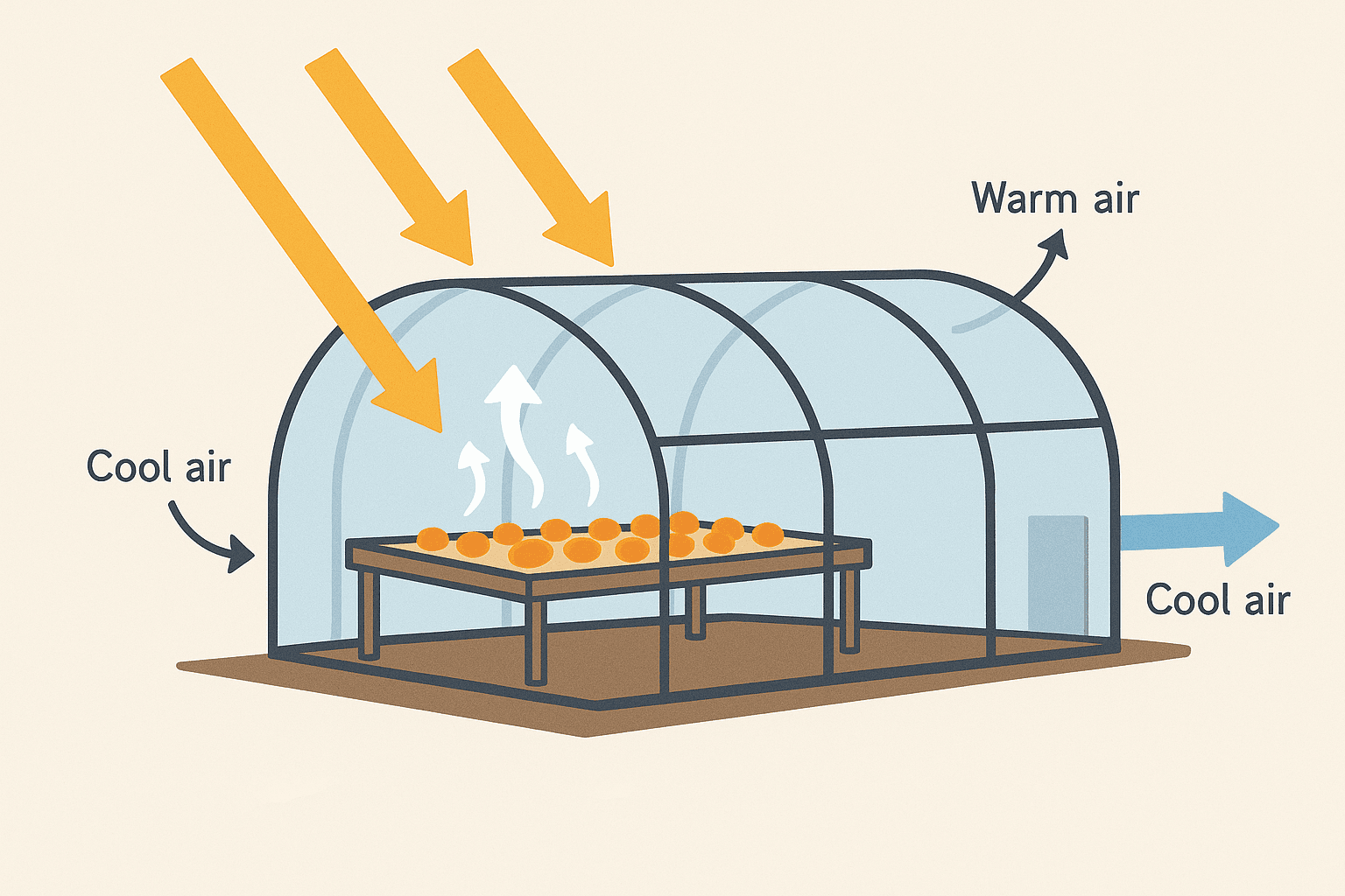How Does a Tunnel and Greenhouse Solar Dryer Work? How Does a Tunnel and Greenhouse Solar Dryer Work?