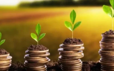 For Developers: Why Partnering with a Land Aggregator Saves Time and Cost