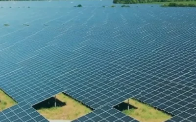 For Landowners: How PPAs Turn Solar Parks Into Steady, Long-Term Income