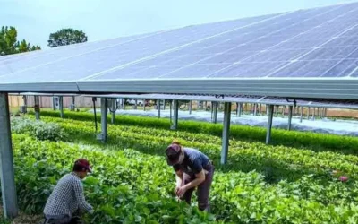 How Land Aggregators Benefit Farmers in Solar Park Projects