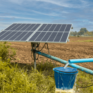 Solar Sharing in Agriculture Solar Sharing in Agriculture