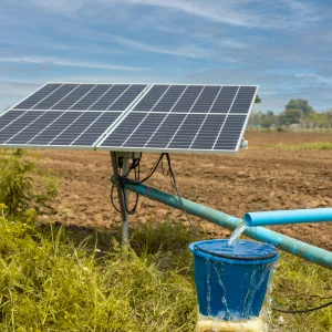 Solar Sharing in Agriculture