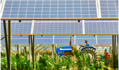 Solar Sharing in Agriculture Solar Sharing in Agriculture