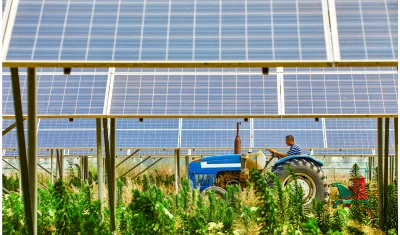 Solar Sharing in Agriculture