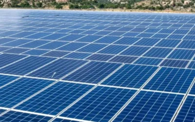 Step-by-Step: How Solar Park Land Aggregators Work with Developers and Investors