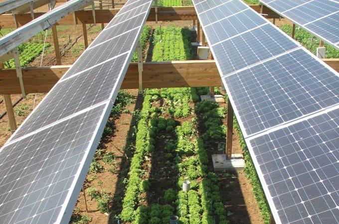 What is Agrivoltaics Farming in Fields? What is Agrivoltaics Farming in Fields?