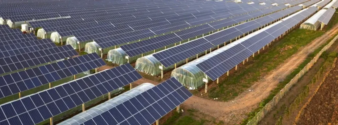 Solar Farming in India The New Age Passive IncSolar Farming in India The New Age Passive Income for Rural Entrepreneursome for Rural Entrepreneurs