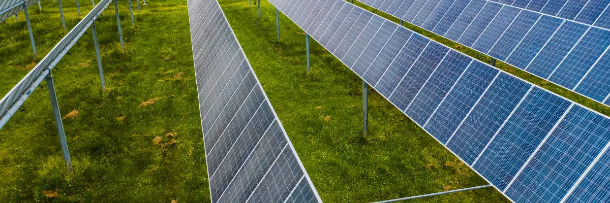solar farm epc