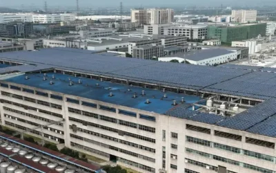 What Is Solar PV Panel Degradation Rate? (Year-Wise Breakup Explained)