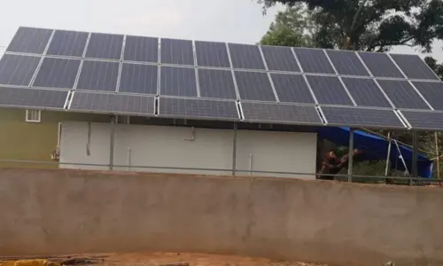 Solar for Cold Storage Units
